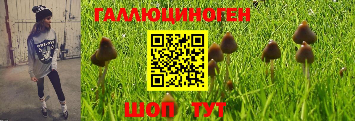 Майкоп  Псилоцибиновые грибы Cubensis  где можно купить наркотик  Вход с VPN 